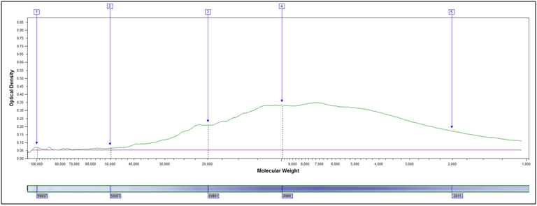 SDS PAGE profile partially hydrolyzed soy flour. x-axis MW, y-axis shows Coomassie stain intensity.
