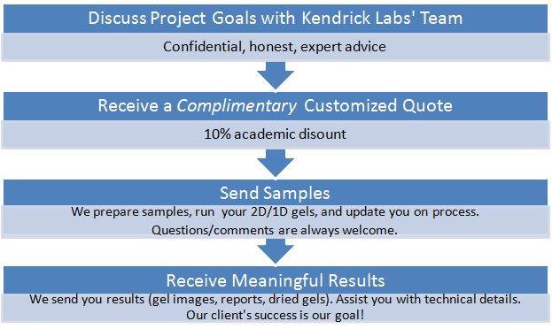 Flow chart for academic project includes free quote for 1D/2D gel service with an academic discount